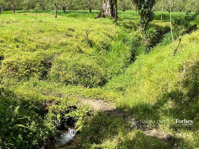 21389 - Property for Sale for Hospitality Development in La Fortuna — photo 6 of 7