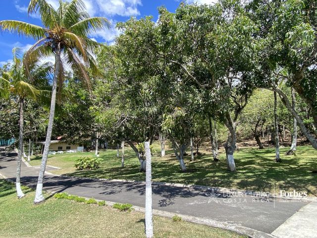 21391 - Spacious Estate for Rent with Pool and Deer in Ciruelas — photo 8 of 21