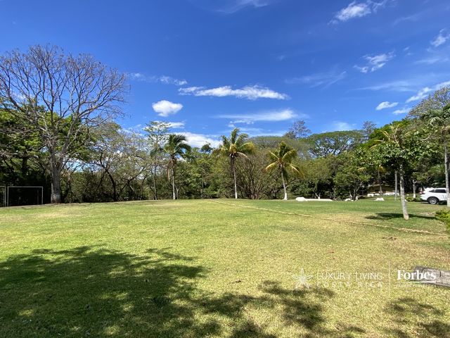 21391 - Spacious Estate for Rent with Pool and Deer in Ciruelas — photo 5 of 21