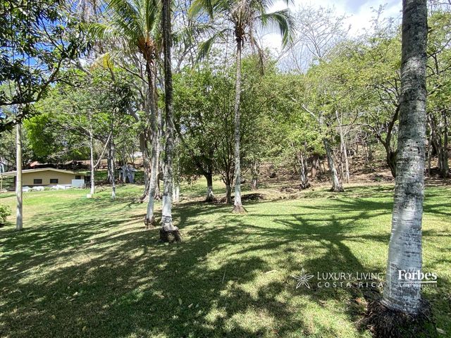 21391 - Spacious Estate for Rent with Pool and Deer in Ciruelas — photo 6 of 21