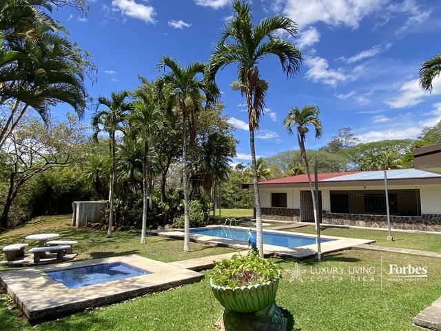 21391 - Spacious Estate for Rent with Pool and Deer in Ciruelas — photo 3 of 21