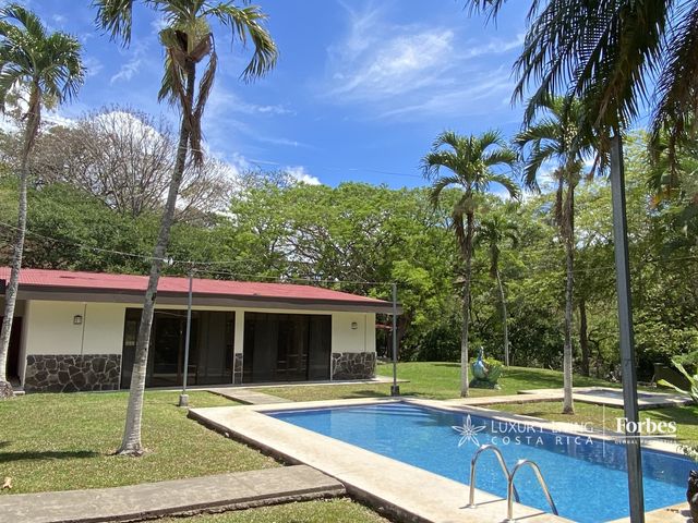 21391 - Spacious Estate for Rent with Pool and Deer in Ciruelas — photo 4 of 21