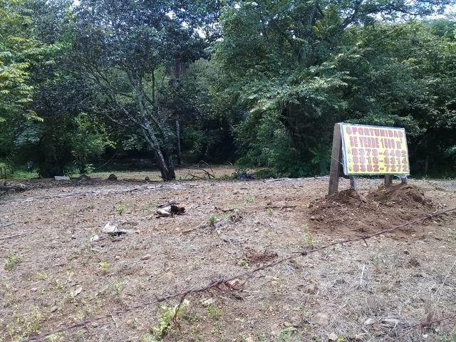 Lote para vivir en paz y entre la naturaleza — photo 1 of 6