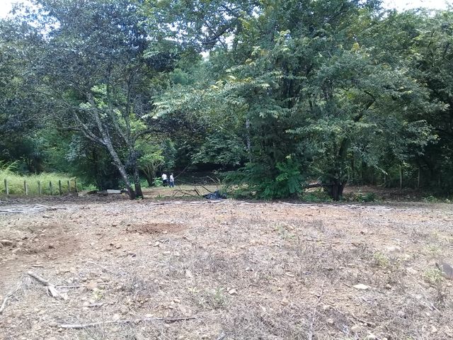 Lote para vivir en paz y entre la naturaleza — photo 2 of 6