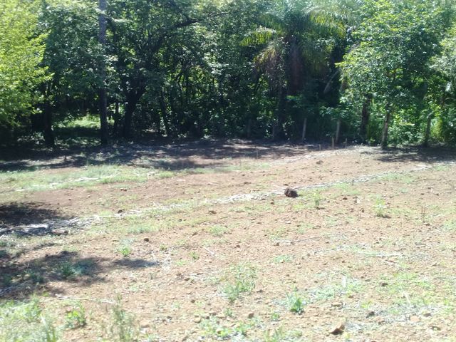 Lote para vivir en paz y entre la naturaleza — photo 3 of 6