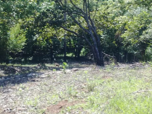 Lote para vivir en paz y entre la naturaleza — photo 4 of 6