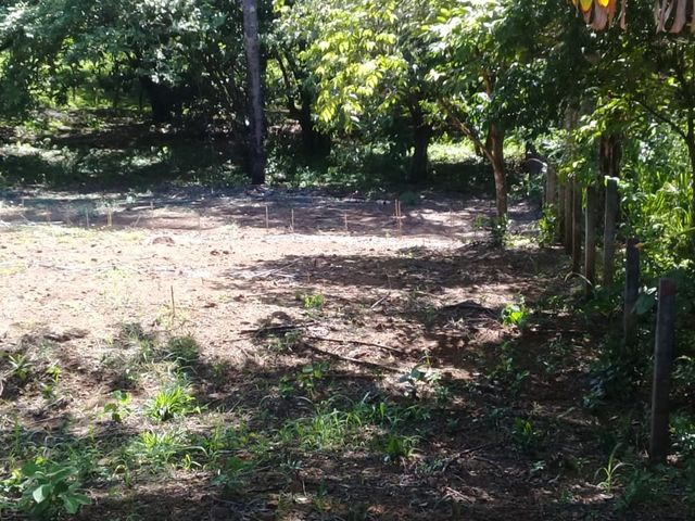 Lote para vivir en paz y entre la naturaleza — photo 5 of 6