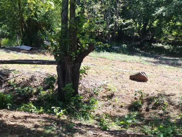 Lote para vivir en paz y entre la naturaleza — photo 6 of 6