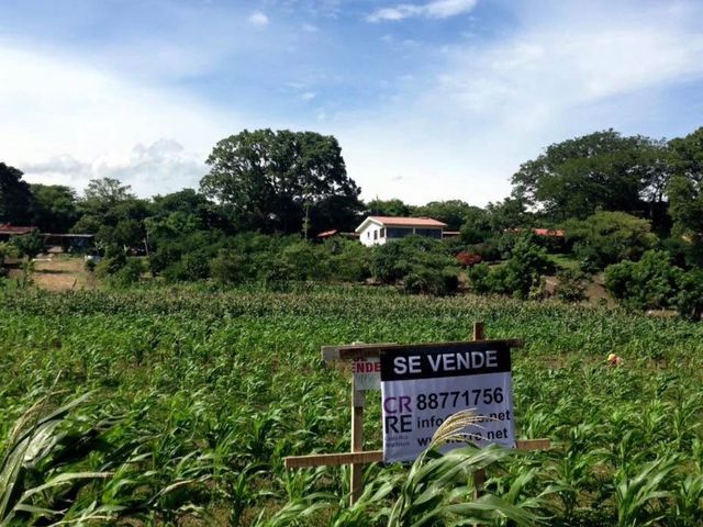 Terreno 7154 m2 Cañada, San Rafael, Alajuela — foto 3 de 6