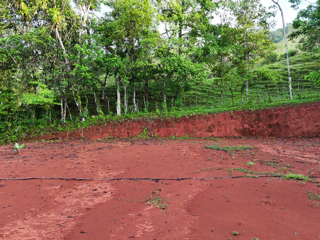3,600sqm Mountain View Lot – High Appreciation & Ready to Build — photo 8 of 10