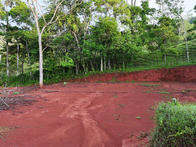3,600sqm Mountain View Lot – High Appreciation & Ready to Build — photo 7 of 10