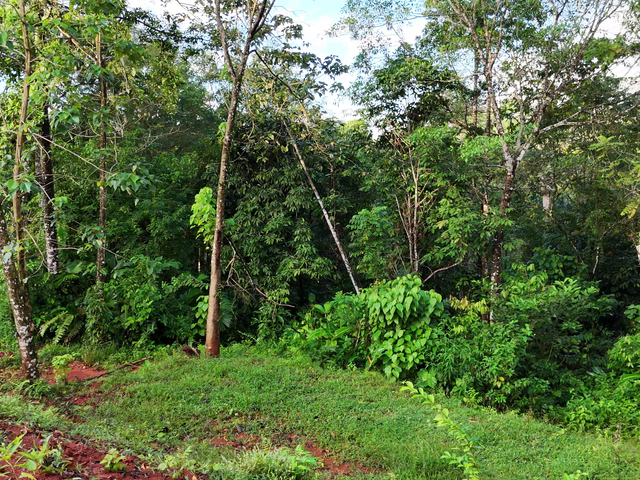 3,600sqm Mountain View Lot – High Appreciation & Ready to Build — photo 10 of 10