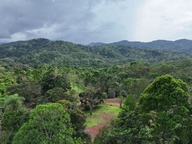 4,000sqm Mountain View Lot – High Appreciation & Ready to Build — photo 5 of 12