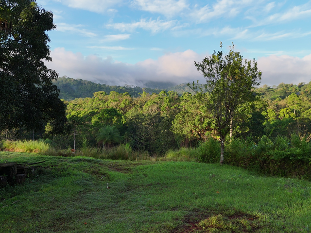 4,000sqm Mountain View Lot – High Appreciation & Ready to Build — photo 10 of 12