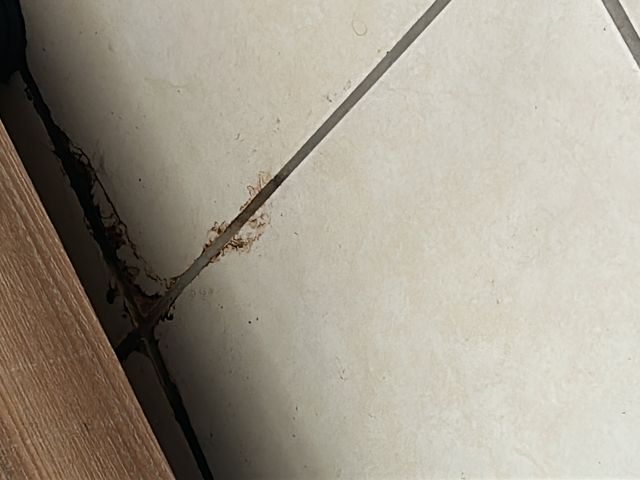 *Se Alquila Apto Condominio CAIA | Escazú – línea blanca — photo 6 of 11