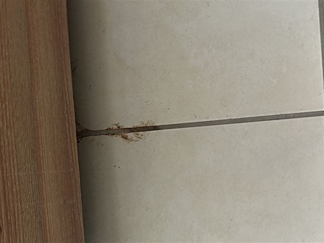 *Se Alquila Apto Condominio CAIA | Escazú – línea blanca — photo 7 of 11