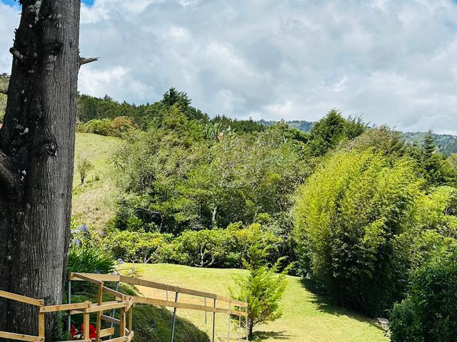 Villa Cocó — photo 8 of 15