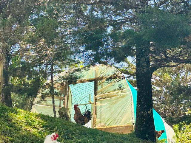 Villa Cocó — photo 7 of 15