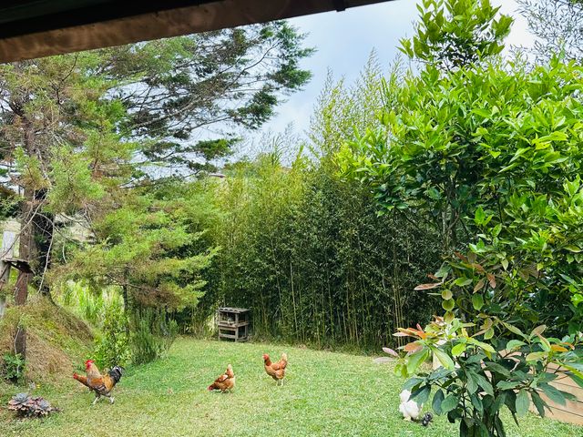 Villa Cocó — photo 14 of 15