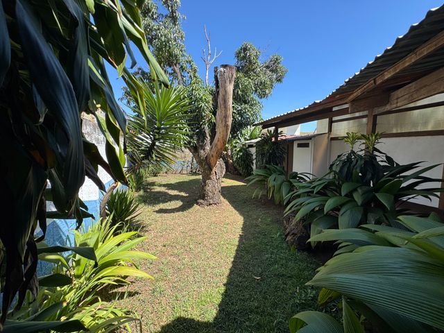 PROPIEDAD DE USO MIXTO – SABANA OESTE — photo 12 of 20