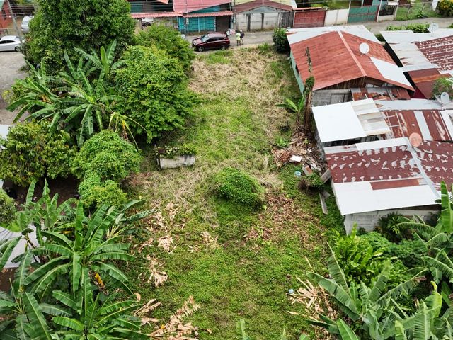 terreno en Hone creek Limon — photo 5 of 7