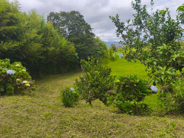 se vende hermoso lote en Mata de Platano en San Jose — foto 2 de 5