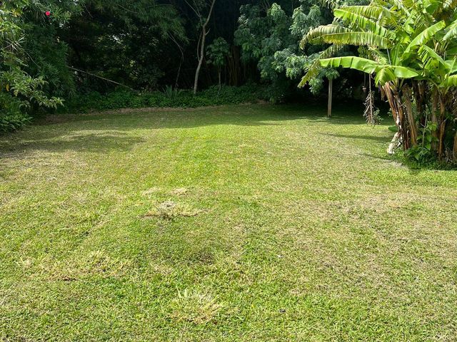 VENTA LOTE EN TIBAS — photo 1 of 6