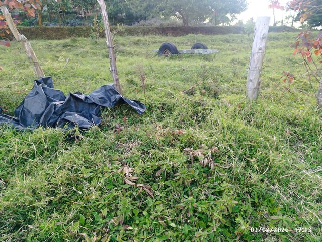 VENTA PROPIEDAD SARAPIQUI — photo 3 of 6