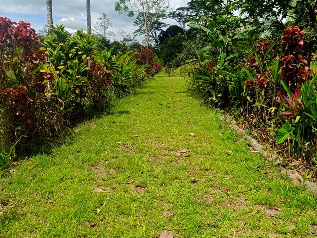 VENTA PROPIEDAD SARAPIQUI — photo 2 of 6