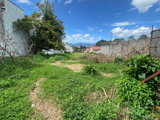 VENTA PROPIEDAD SARAPIQUI — photo 4 of 6