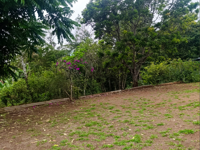 VENTA PROPIEDAD SARAPIQUI — photo 5 of 6