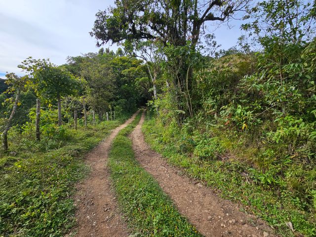 Finca Colpachi — photo 5 of 9