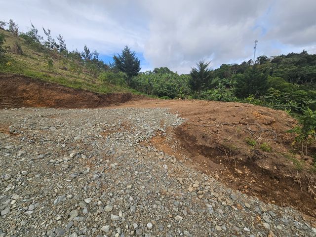 Finca Colpachi — photo 6 of 9