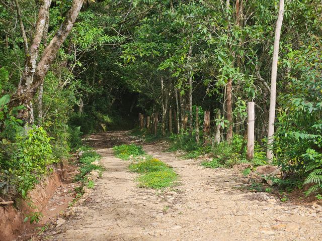 Finca Colpachi — photo 3 of 9