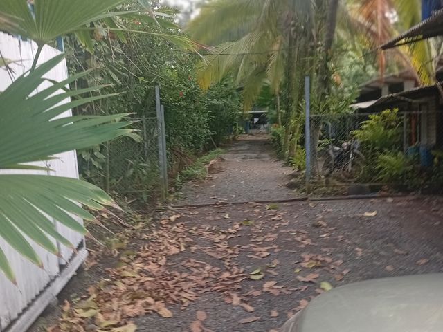 CASA MARIELOS — photo 18 of 20