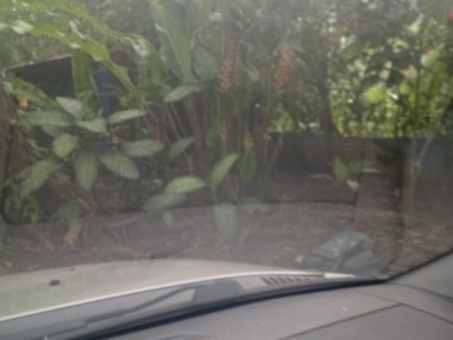 CASA MARIELOS — photo 17 of 20