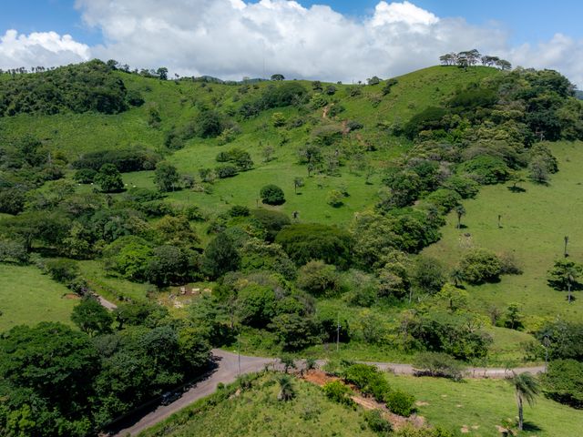 El Paraiso - 100 acres of Farming, Water, Wind and Solar Power Opportunity! — photo 8 of 15