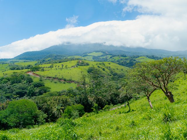 El Paraiso - 100 acres of Farming, Water, Wind and Solar Power Opportunity! — photo 9 of 15