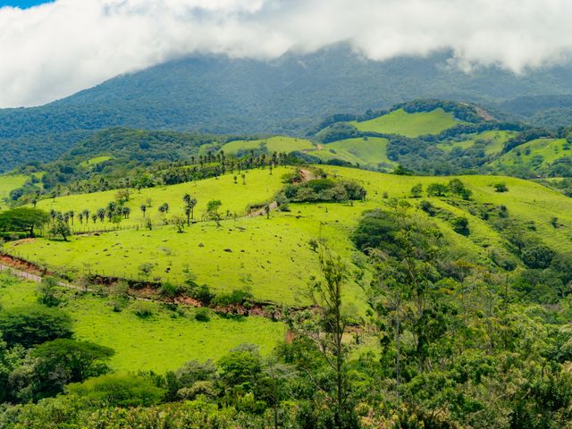 El Paraiso - 100 acres of Farming, Water, Wind and Solar Power Opportunity! — photo 10 of 15