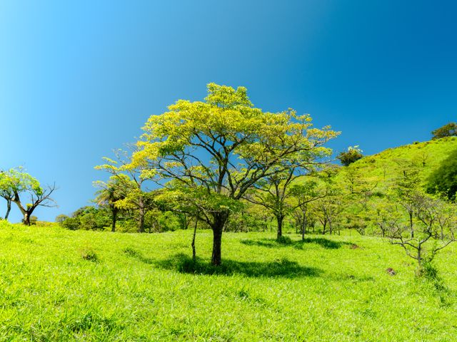 El Paraiso - 100 acres of Farming, Water, Wind and Solar Power Opportunity! — photo 13 of 15