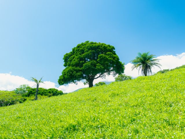 El Paraiso - 100 acres of Farming, Water, Wind and Solar Power Opportunity! — photo 14 of 15