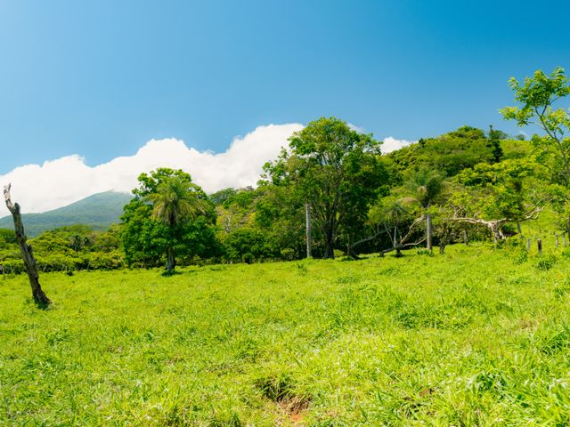 El Paraiso - 100 acres of Farming, Water, Wind and Solar Power Opportunity! — photo 15 of 15