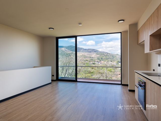 20995 - Modern apartment for rent for investors with west-facing views — photo 1 of 16