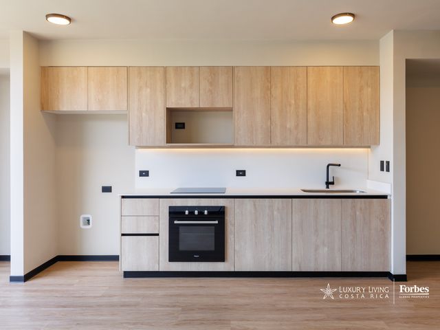 20995 - Modern apartment for rent for investors with west-facing views — photo 6 of 16
