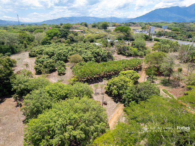 21415 - Land for Development, Coyolar, Orotina with Access to Route 27 — photo 4 of 10