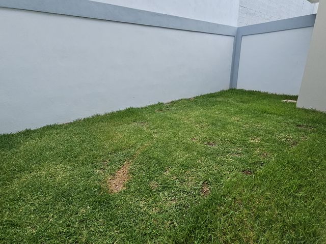 Condominio San Juan — foto 4 de 5