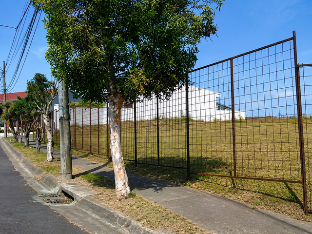Amplio terreno en venta ubicado en Los Yoses Sur, San José — foto 2 de 5