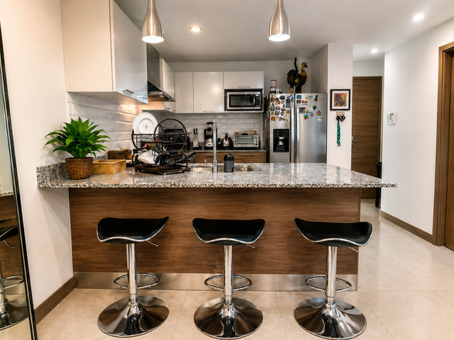 Apartamento en venta en 101 Escalante, Barrio Escalante — foto 3 de 5