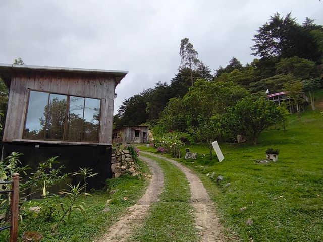 VENTA RESTAURANTE Y BUNGALOWS TEJAR DE CARTAGO — photo 15 of 15