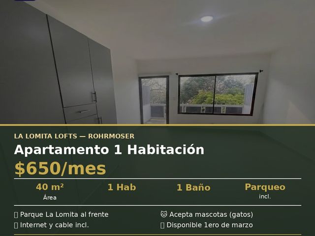 COMODO APARTAMENTO TIPO LOFT EN ROHRMOSER — photo 1 of 13